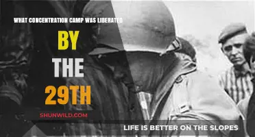 Liberation of Dachau: The 29th Infantry Division's Historic Role