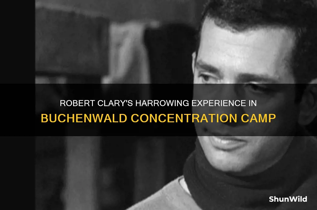 what concentration camp was robert clary in