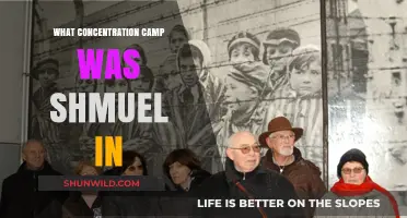 Unveiling Shmuel's Concentration Camp: A Historical Investigation