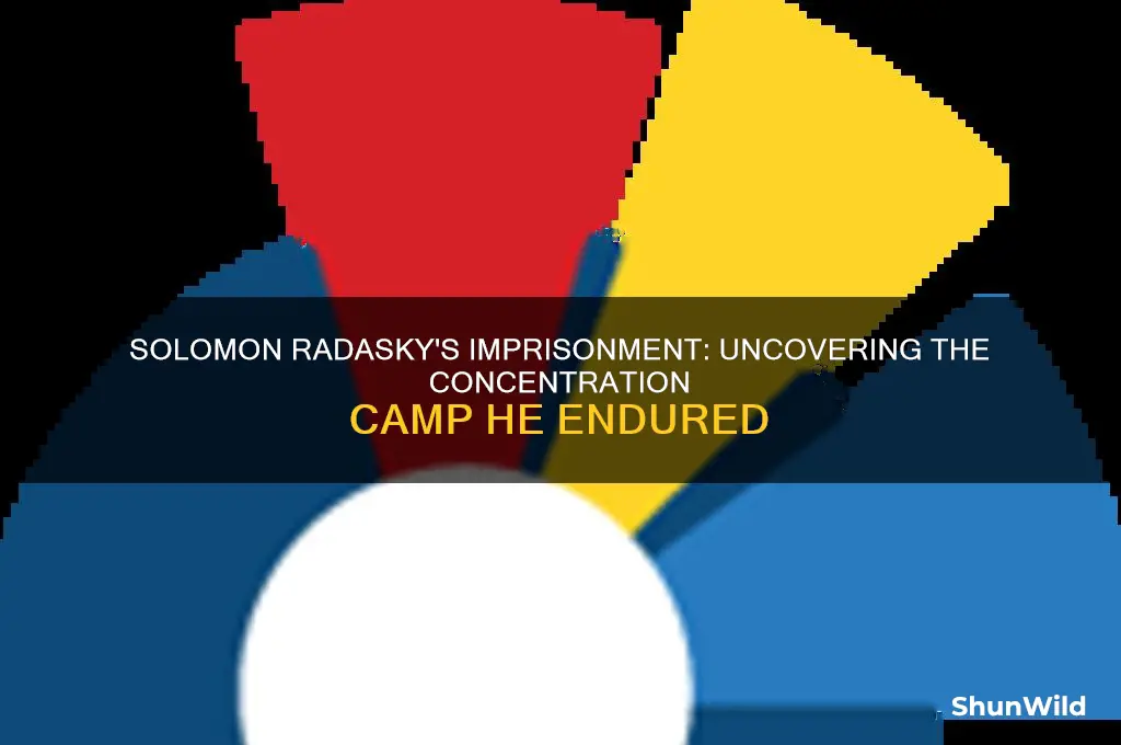what concentration camp was solomon radasky in