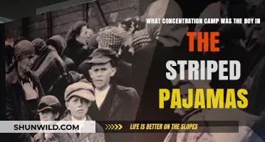 The Boy in the Striped Pajamas: Unveiling the Concentration Camp Setting