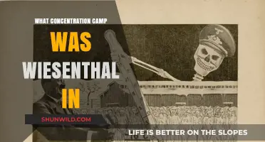 Simon Wiesenthal's Imprisonment: The Concentration Camp He Survived