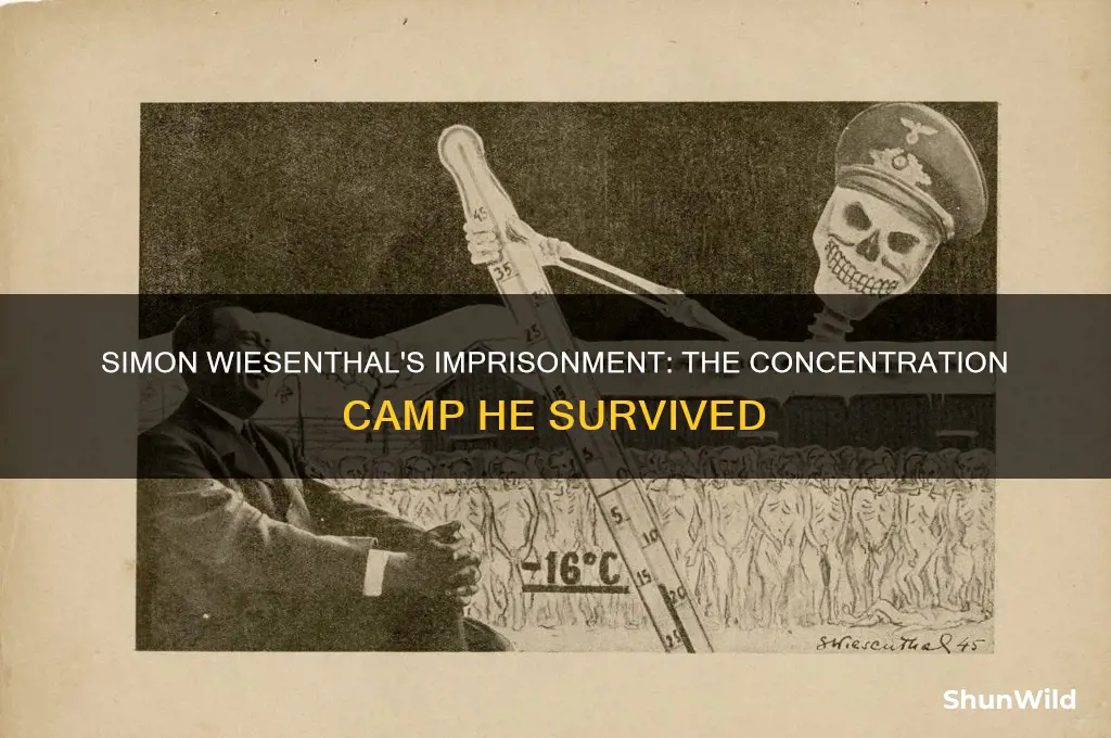 what concentration camp was wiesenthal in