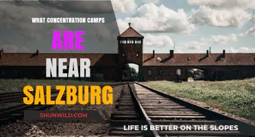 Exploring Dark History: Concentration Camps Near Salzburg, Austria