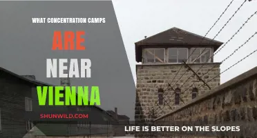 Exploring the Dark History: Concentration Camps Near Vienna Revealed