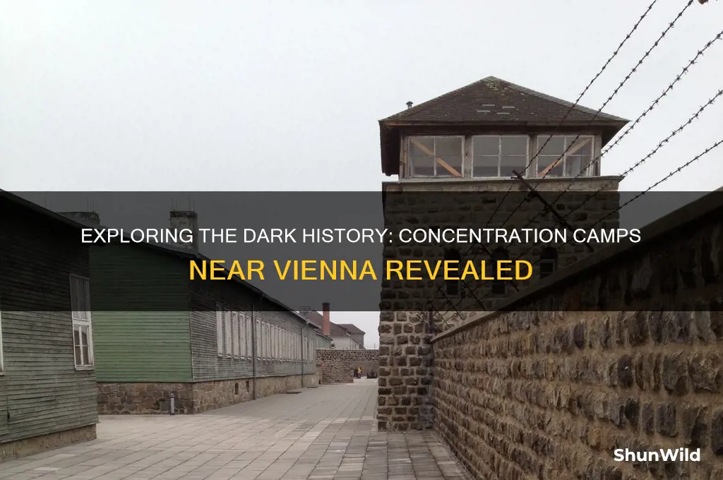 what concentration camps are near vienna