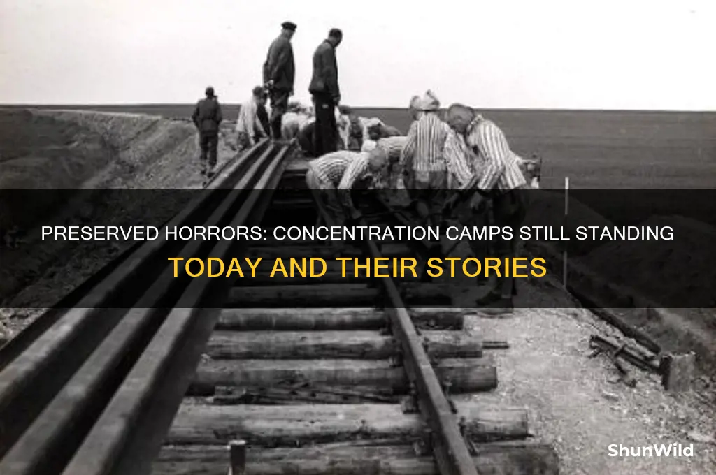 what concentration camps are still standing