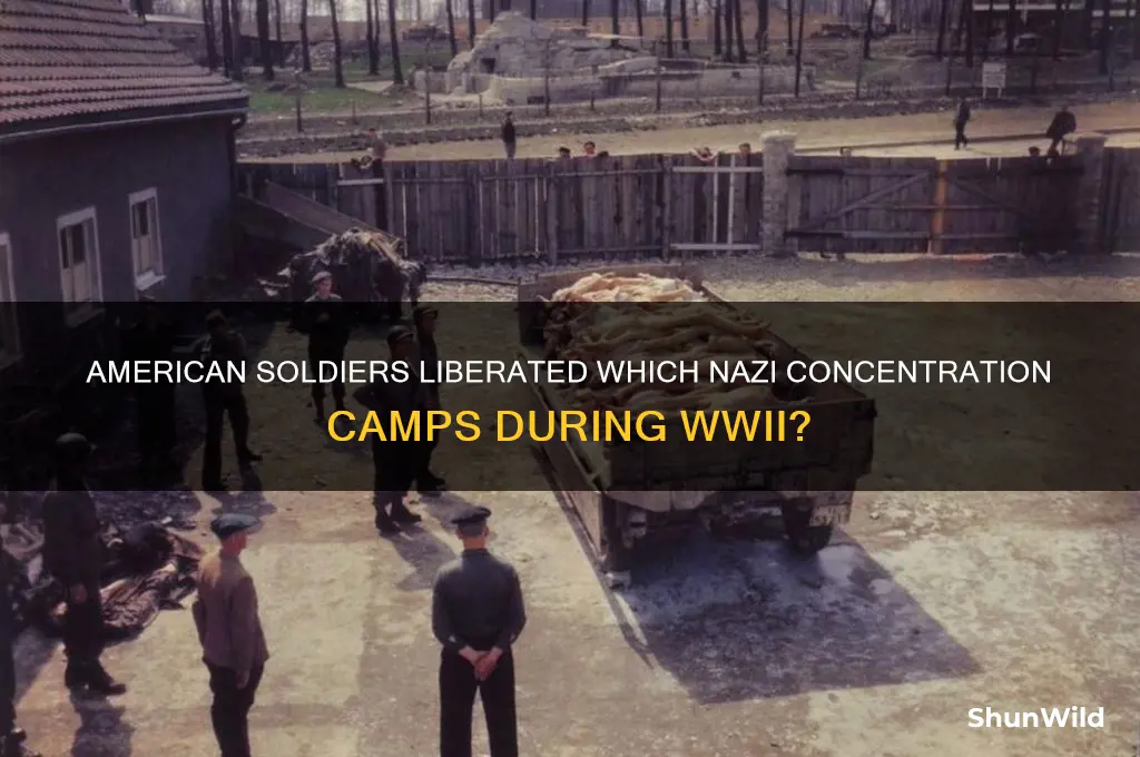 what concentration camps did american soldiers empty