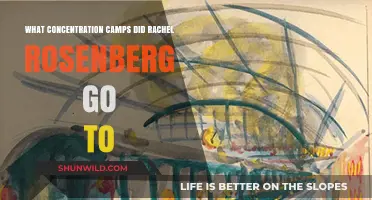 Rachel Rosenberg's Harrowing Journey Through Nazi Concentration Camps