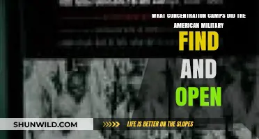 American Military's Discovery: Concentration Camps Unveiled in WWII Europe