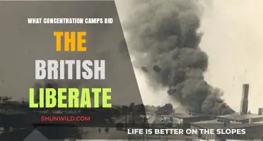 British Liberation of Nazi Concentration Camps: A Historical Overview
