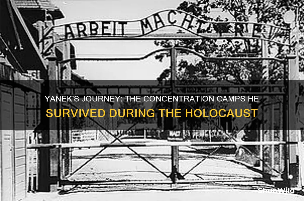 what concentration camps did yanek go to