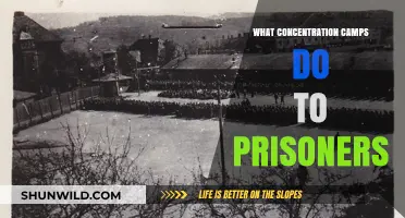 The Devastating Impact of Concentration Camps on Prisoner Lives