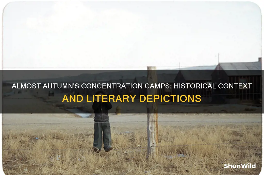 what concentration camps were in the book almost autumn