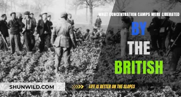 British Liberation of Nazi Concentration Camps: A Historical Overview