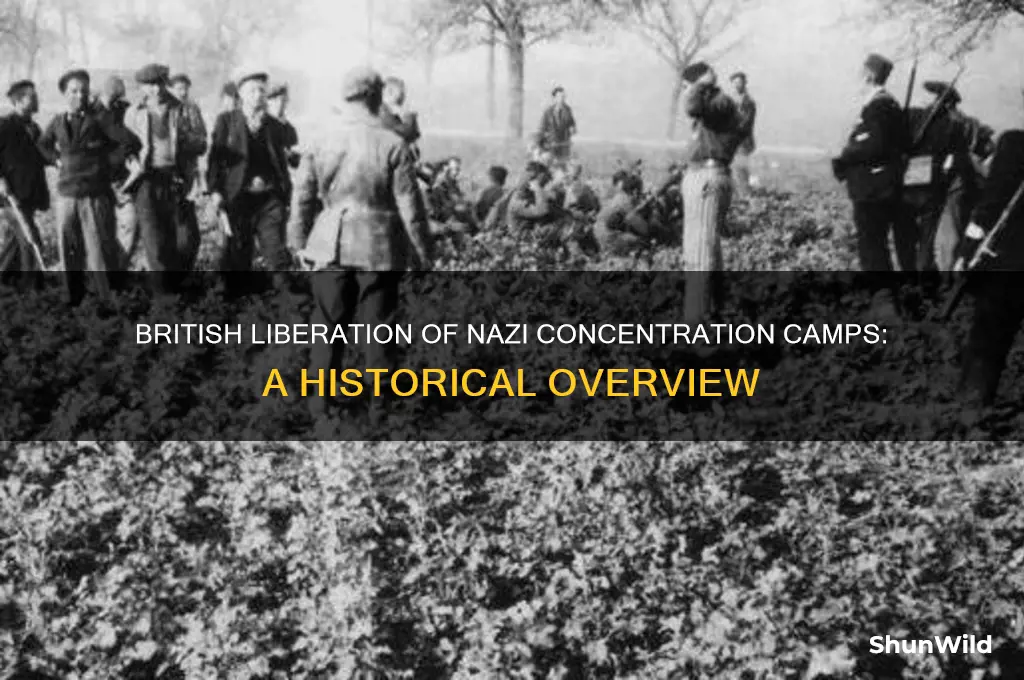 what concentration camps were liberated by the british
