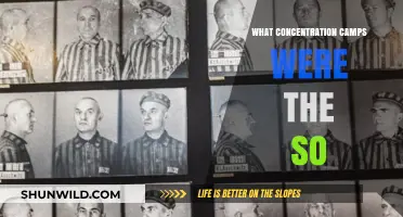 Understanding the Brutal Reality of Concentration Camps: A Historical Overview