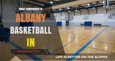Albany Basketball Conference: Where Do They Belong?