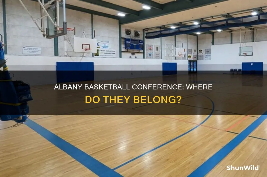 what conference is albany basketball in