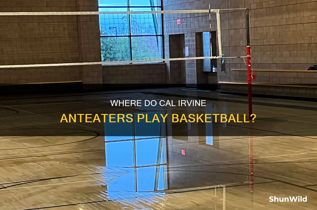 what conference is cal irvine basketball