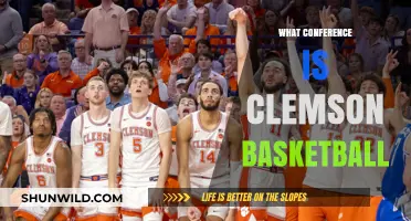Clemson Basketball: Conference Contenders or Pretenders?