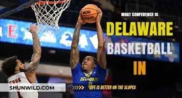 Delaware Basketball Conference: Which One is it?
