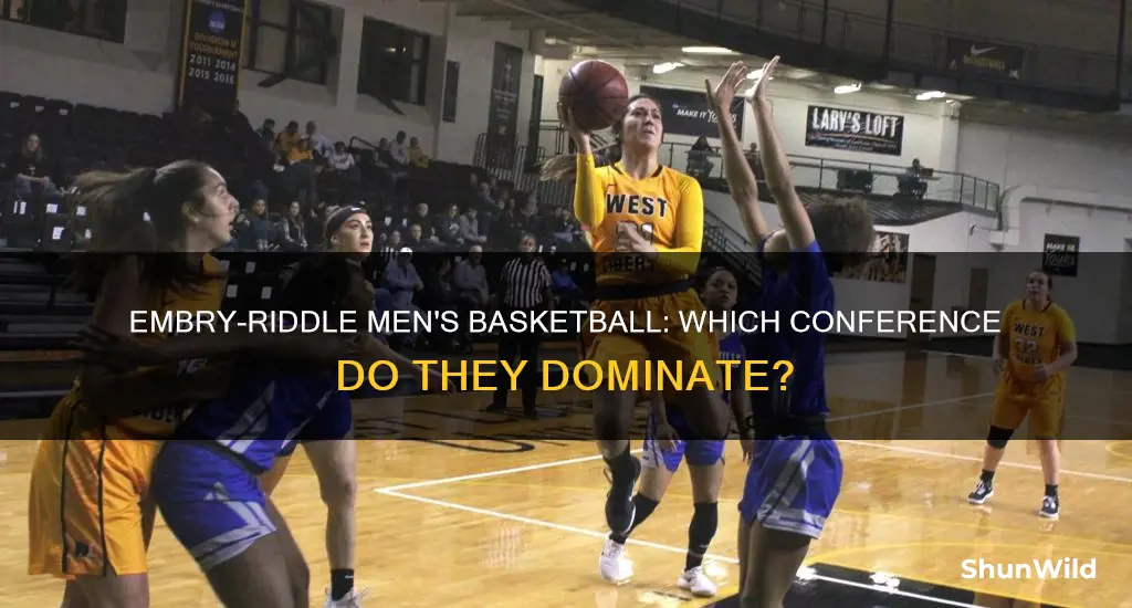 what conference is embry riddle men