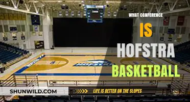 Hofstra Basketball Conference: CAA's Contender