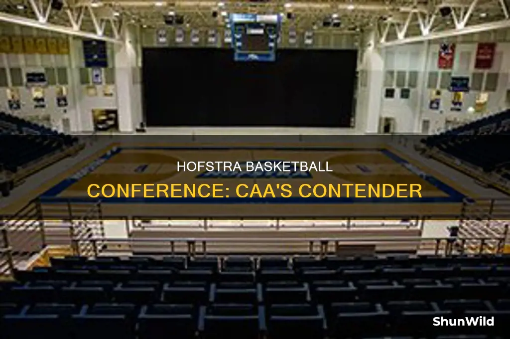 what conference is hofstra basketball