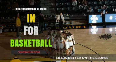 Idaho's Basketball Conference: Which One?