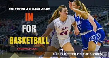 Illinois Chicago Flames: Basketball Conference Explained