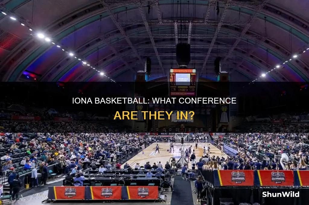 what conference is iona basketball in