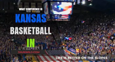 Kansas Basketball Conference: Where Do They Stand?