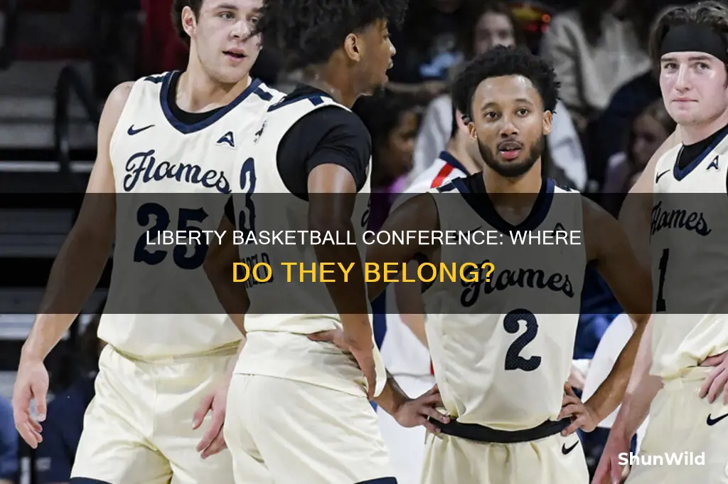 what conference is liberty basketball in