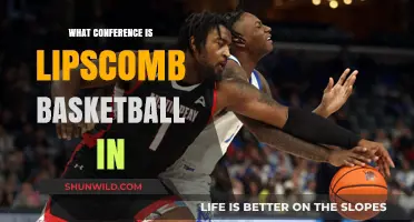 Lipscomb Basketball Conference: Where Do They Belong?