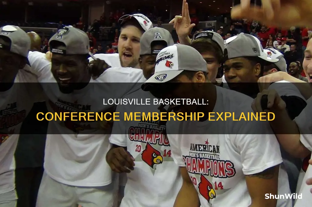 what conference is louisville basketball in
