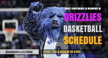 Memphis Grizzlies: Conference and Schedule Breakdown