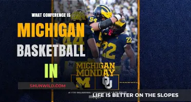 Michigan Basketball: Conference Membership and History