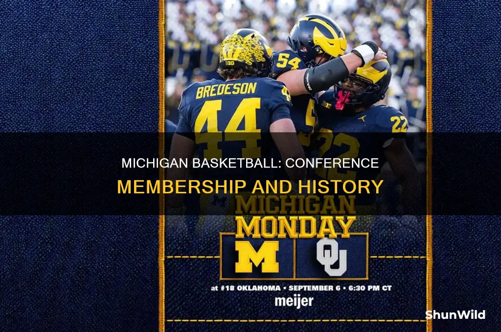 what conference is michigan basketball in