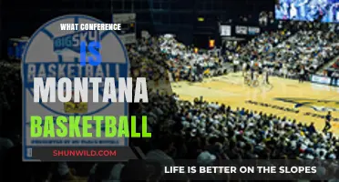 Montana Basketball: Conference Mystery Solved