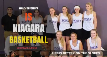 Niagara Basketball Conference: Which One?