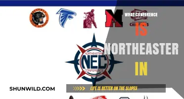 Conference Calling: Northeastern's Athletic Conference Explored