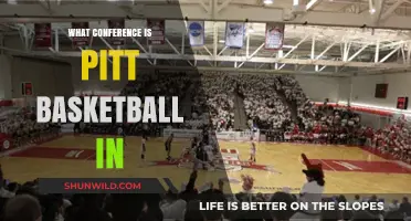 Pitt Basketball Conference: Where Do They Stand?