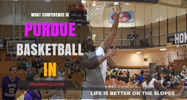 Purdue Basketball Conference: Where Do They Stand?