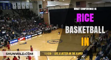 Rice Owls: Conference USA Basketball Powerhouse