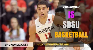 SDSU Basketball Conference: Where Do They Stand?