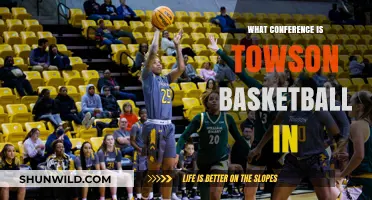 Towson Basketball Conference: CAA Hoops History