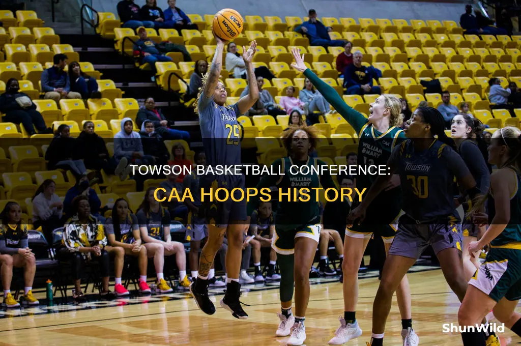what conference is towson basketball in