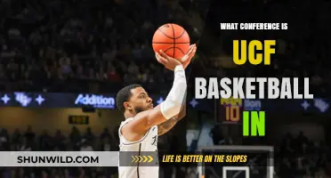 UCF Basketball Conference: Where Do They Stand?
