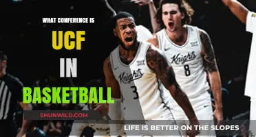 UCF Basketball Conference: Where Do They Stand?